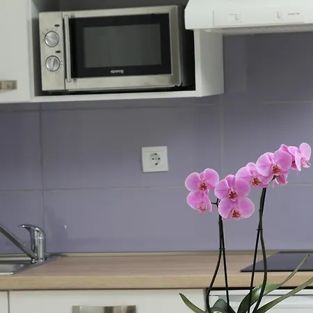 Emanuel Apartamento Rovinj